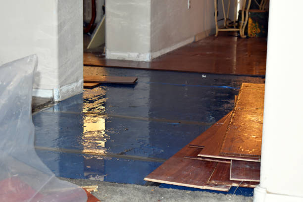 Professional Basement Flood Cleanup technician working in Helena, OK